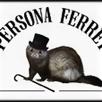 Library ferret 1.19. Хорек в каске. ferret bar logo. library ferret.