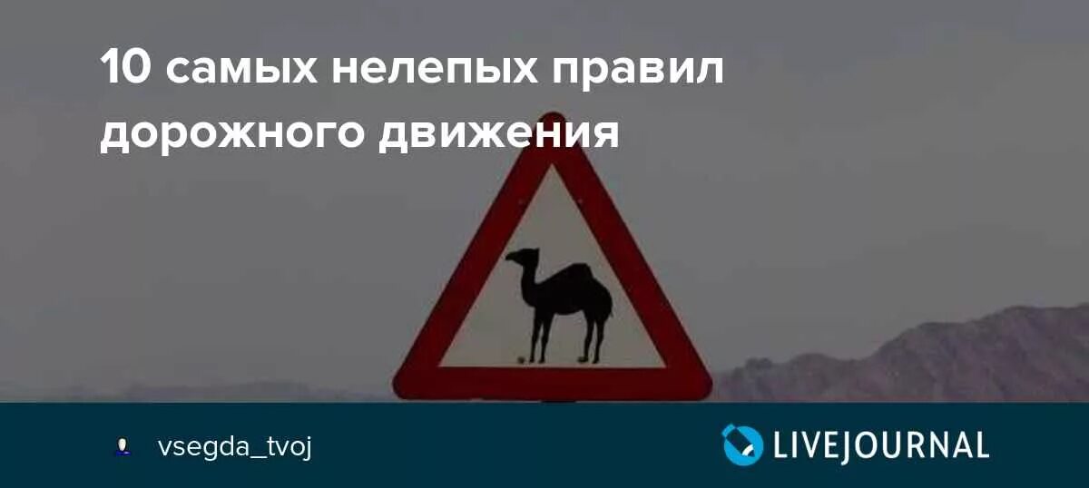 Нелепый определение. Нелепый определение