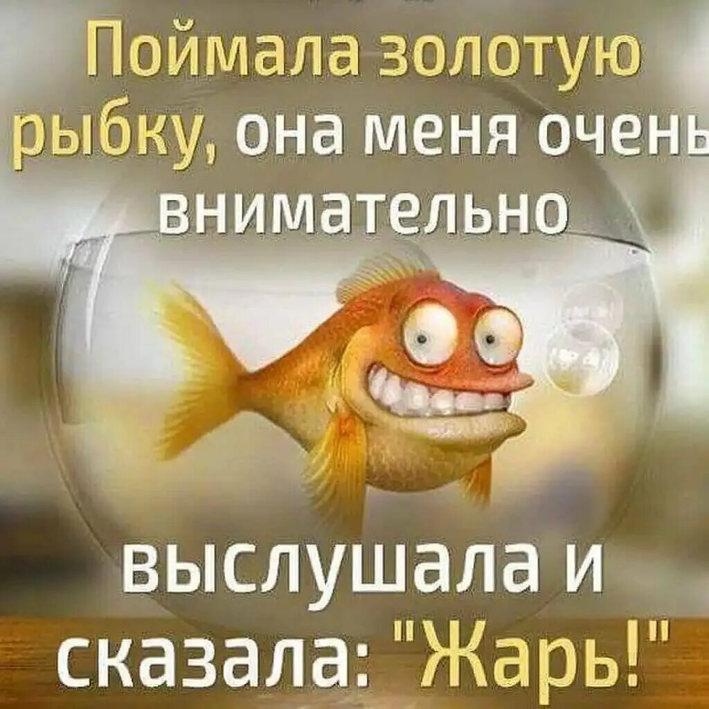 Хотим быть рыбками. Анекдот про золотую рыбку. Анекдоты про желания. Золотая рыбка прикол. Шутки про золотую рыбку.