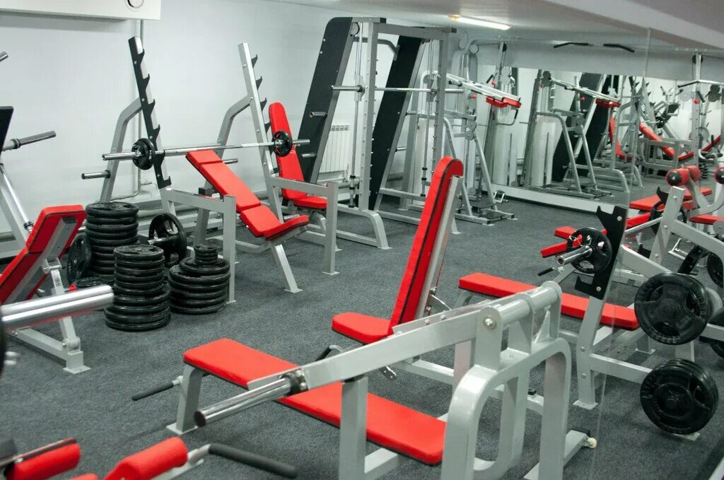 сокол тренажерный зал саратов. спортзал сокол саратов. бассейн сокол саратов. сокол фитнес клуб курск карла либкнехта. фоц сокол красноуфимск.