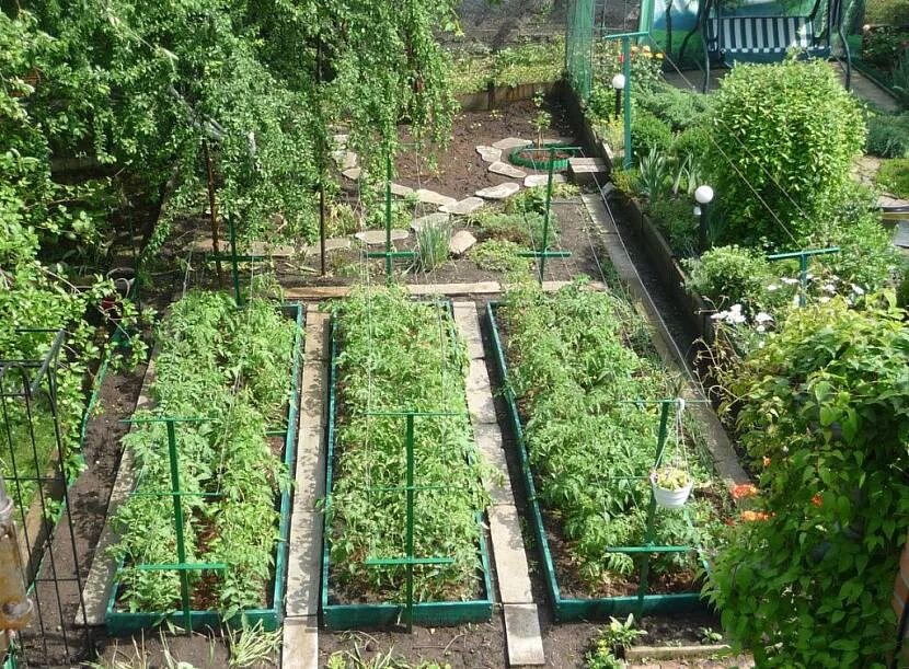 A few garden photos Backyard garden layout, Garden layout, Vegetable garden desi