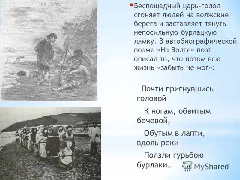 царь беспощаден голод названье