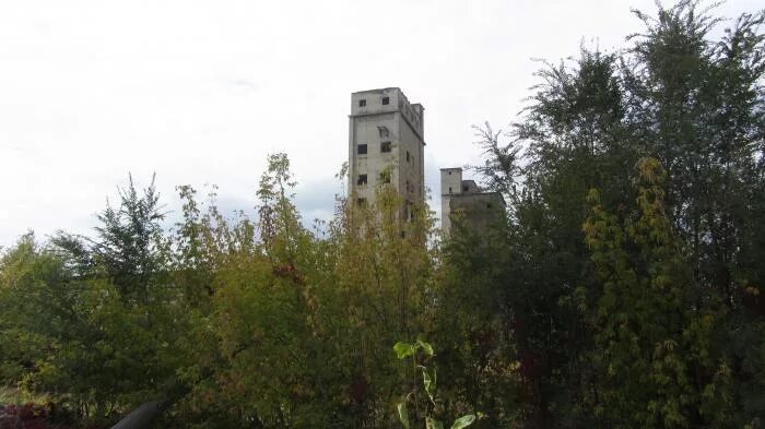 Элеватор Саратов заброшка. Заброшенный элеватор Саратов юриш. Саратов Подлесное ЗАБРОШАННАЯ башжа. Дергачи Саратов элеватор.