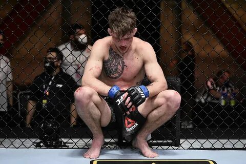 Бой без правил ufc прямой