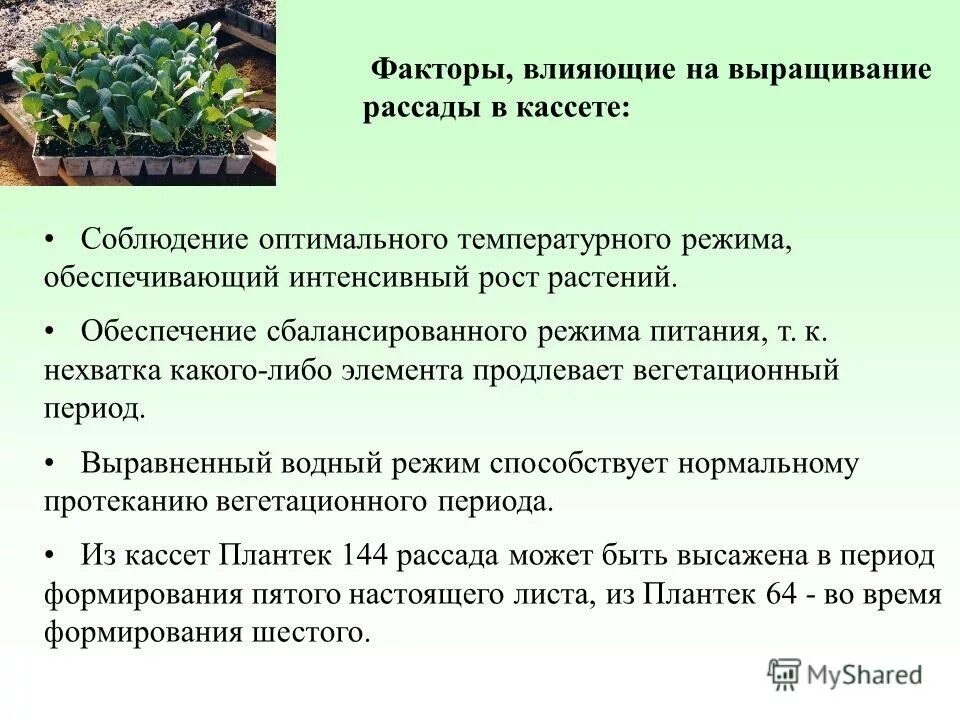 современные технологии возделывания сельскохозяйственных культур. норма удобрений для пшеницы. факторы развития и размещения виноградарства. факторы выращивания. факторы влияющие на урожайность зерновых.
