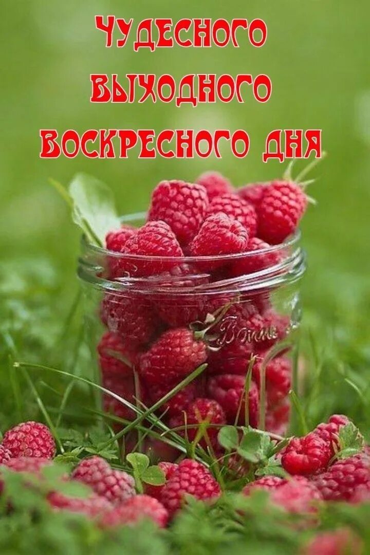 Заставка на рабочий стол ягоды. Сладкая ягода. Доброе утро хорошего дня ягоды. Доброе утро ягодка. Открытки с клубникой.