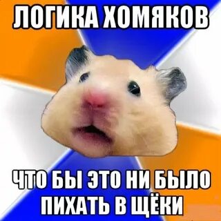 Hamster meme violin