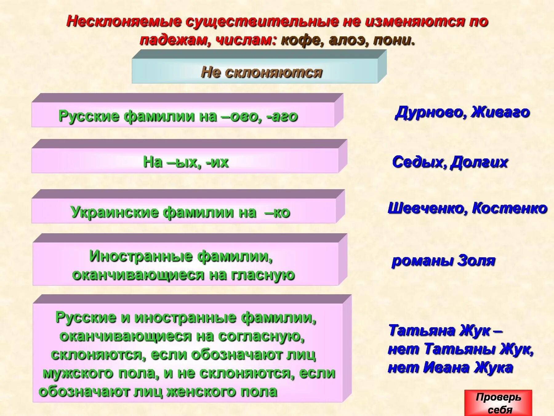 Несклоняемые предложения 5 класс. Несклоняемые существительные не изменяются по падежам. несклоняемые фамилии. имена существительные не склоняются по падежам. несклоняемые имена существительных.
