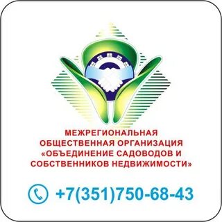 Общественные организации твери