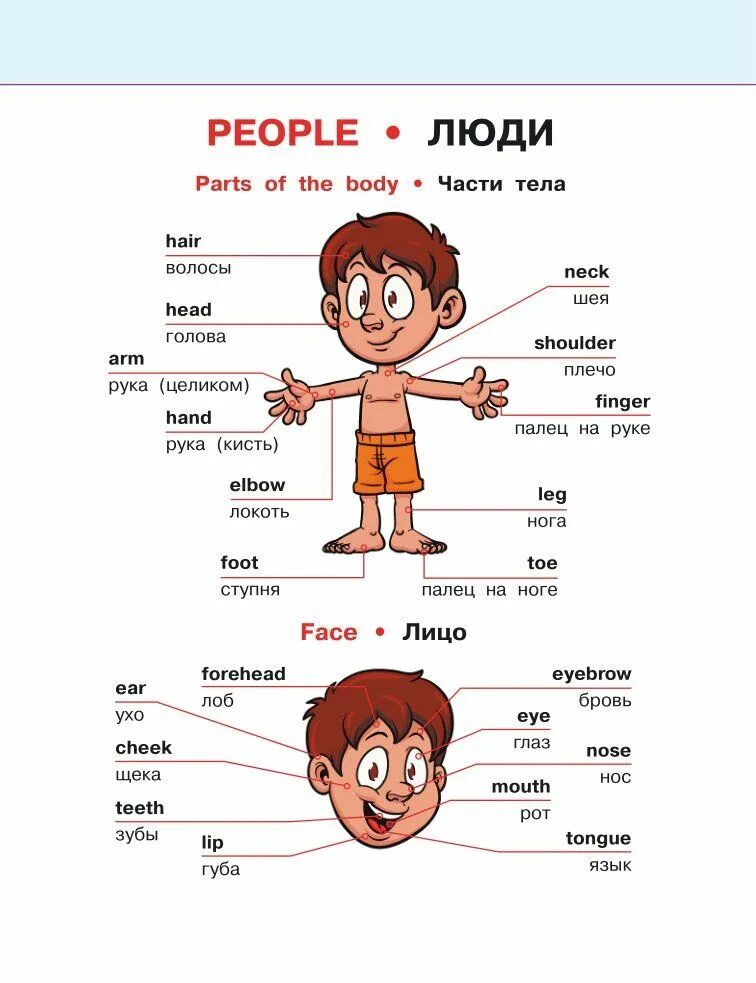 По английски будет слово человек