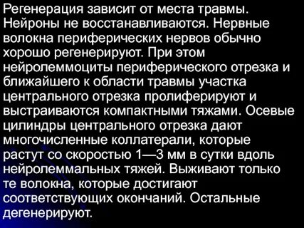 В регенерации нервных волокон основная роль принадлежит