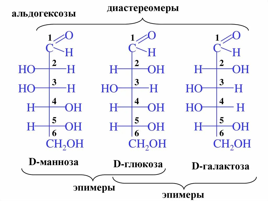 Глюкоза и фруктоза являются гомологами. Галактоза линейная формула. Структурное строение сахарозы. Фруктоза формула фишера и хеуорса. Гидролиз галактозы.