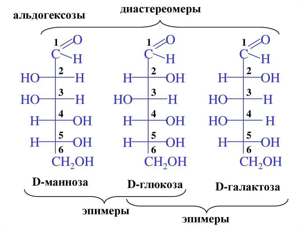 Манноза это моносахарид. Д манноза и д Глюкоза. D-Глюкоза, d-фруктоза, d-галактоза, d-манноза. D Глюкоза и d фруктоза. Изомерия глюкозы