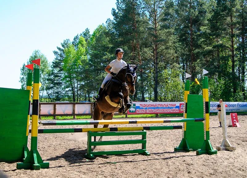 КСК Пегас парк Дракино. Дракино конюшня. Конный парк Дракино. КСК Пегас Дракино. Сайт парка дракино