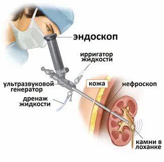 Через какое время удаляют SEOMani.ru