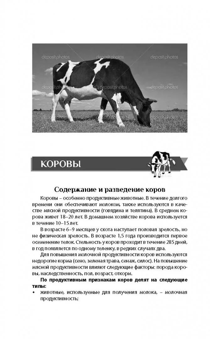 Откуда у коровы молоко. Откуда взялись коровы. Откуда взялись коровы. Корова. Доклад на тему корова.