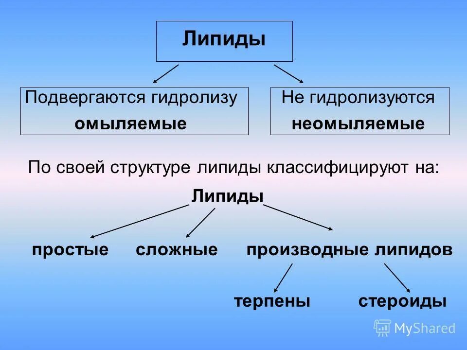 омыляемые и неомыляемые липиды