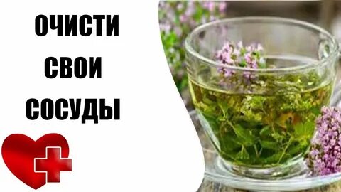 Здоровье сосудов