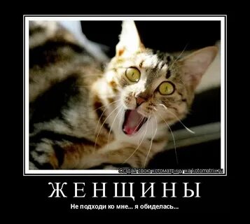 Сможешь подойти ко мне