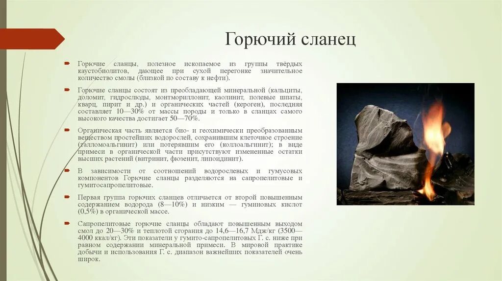 Запасы горючих сланцев. Горючие сланцы это полезное ископаемое. Горючий сланец Горная порода. Полезные ископаемые горючий сланец. Горючие сланцы состав.