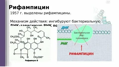 Рифамицины