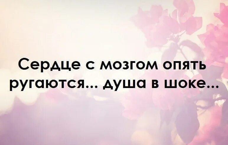 Слушать сердцу больше не справится. Цитаты про сердце. Высказывания о сердце. Цитаты про сердце и мозг. Сердце и разум цитаты.