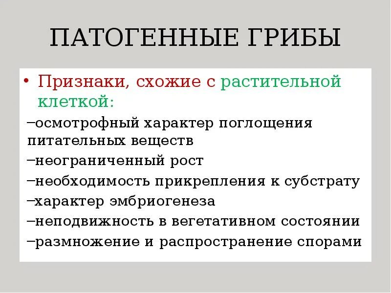 Почему некоторые грибы называют патогенными. Патогенные грибы. патогенные грибы классификация. что относится к патогенным грибам. классификация патогенных грибов.