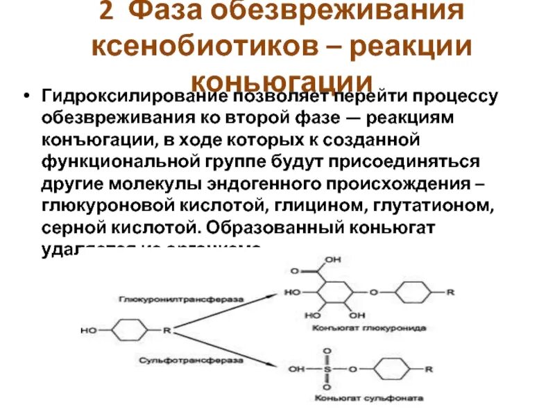 Фаза реакций. Фаза реакций