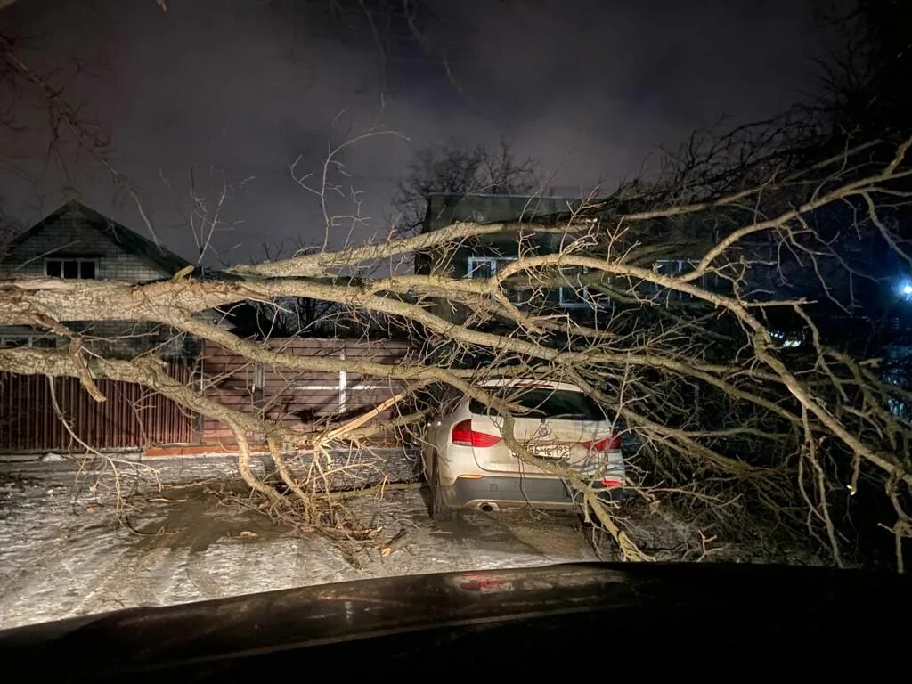 Ураган в коломне. 1 после урагана утро сырое и серое. 2011). 1 после урагана утро сырое и серое. 1 после урагана утро сырое и серое.
