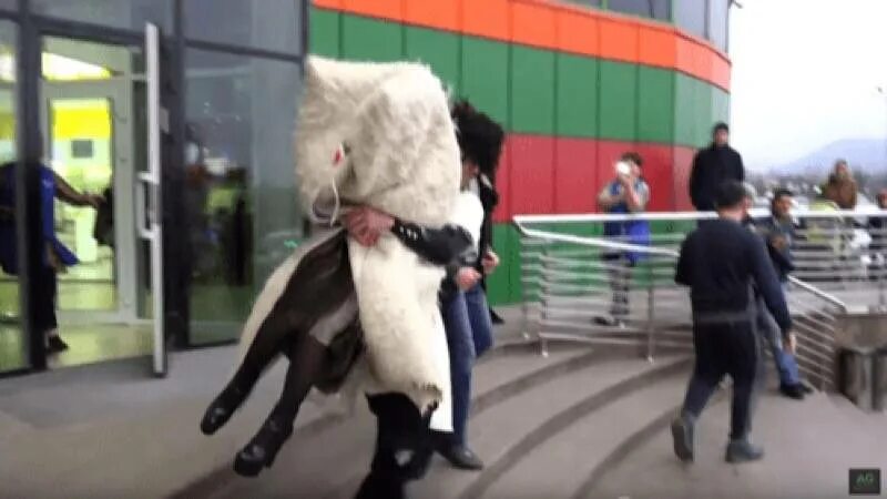 Похищение кавказской невесты. Как воруют девушек. Кавказская кража невест. Кража невесты. Кража невесты.