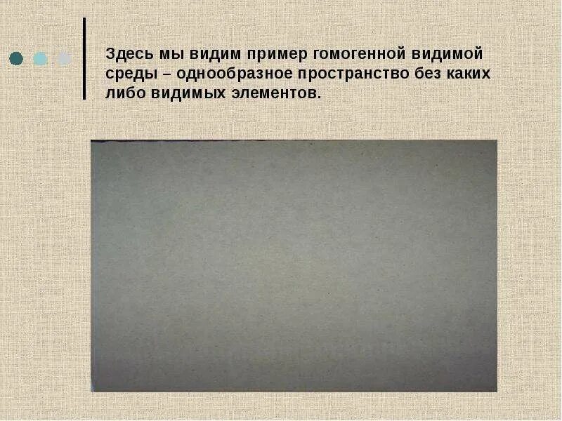 Гомогенная визуальная среда примеры. Видимая среда. Гомогенной видимой средой. Гомогенное пространство. На этом примере мы видим