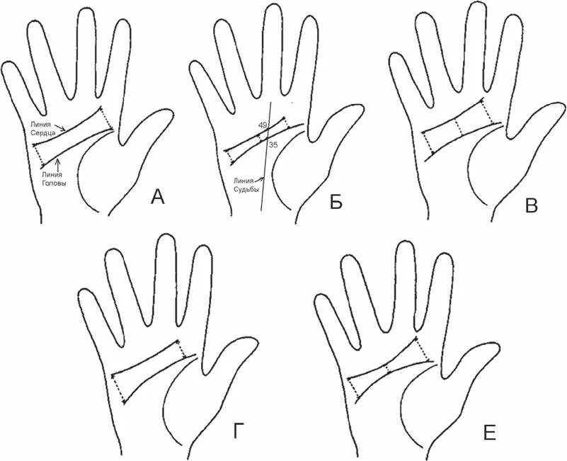 Линия головы и линия жизни соединяются. Соединенная линия ума и сердца. Соединенная линия ума и сердца. Линия жизни ума и сердца. Линия сердца на ладони.
