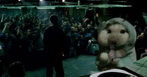 Hamster criminal mc