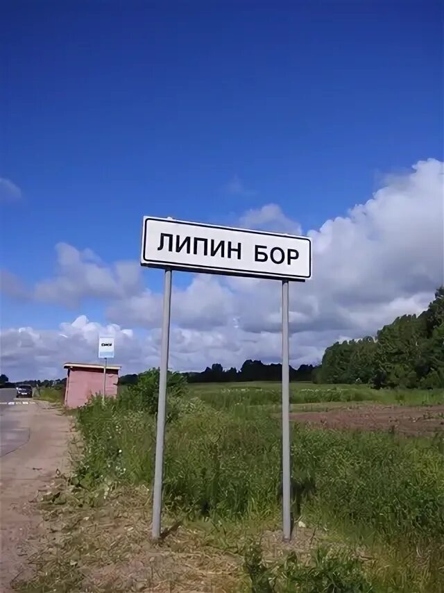 Рп5 липин бор
