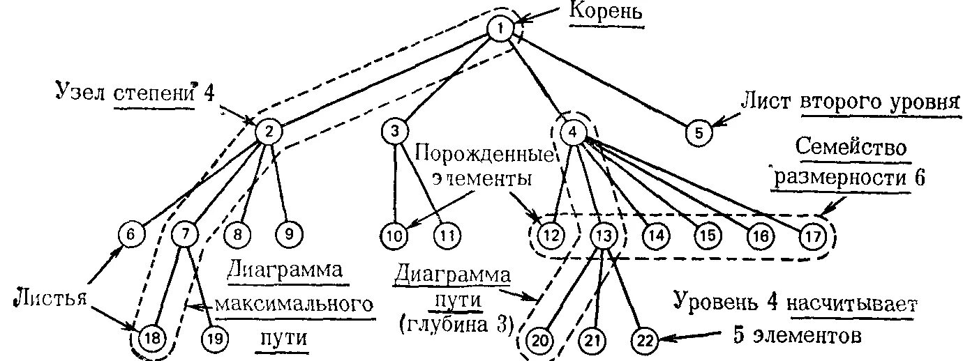Терминальное дерево. Терминальное дерево
