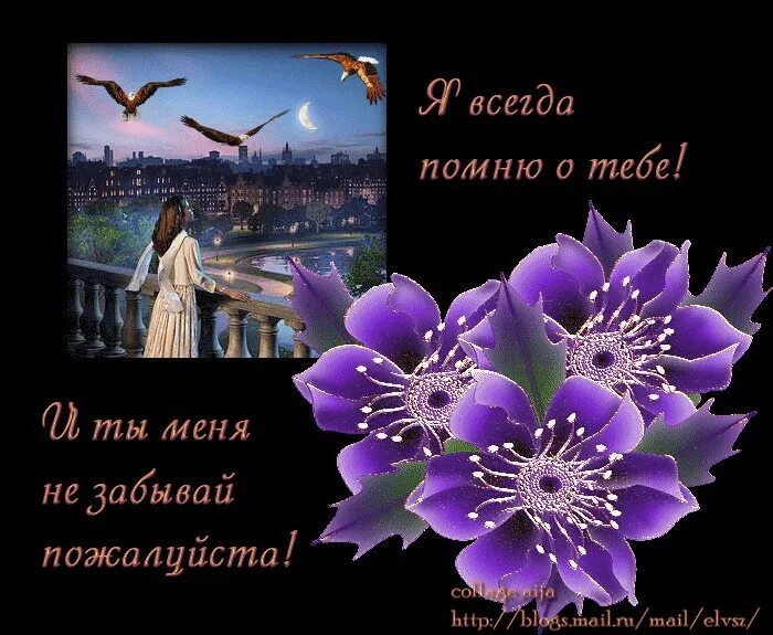 Помню н помню. Всегда помню о тебе. я помню о тебе. открытка я помню о тебе. я буду помнить тебя всегда.