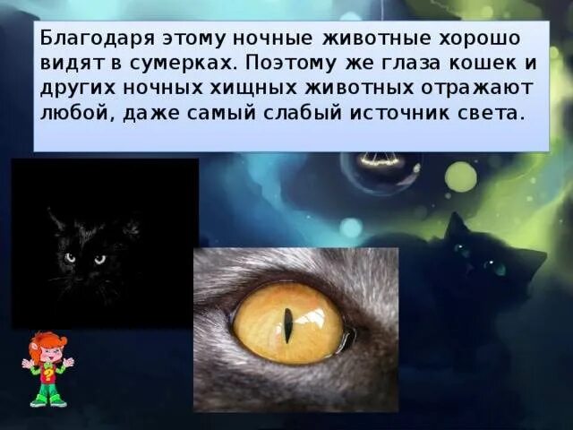 Почему кошка видит в темноте. Как видят кошки ночью. как видят кошки в темноте. зрение кошек в темноте. кошачье ночное зрение.