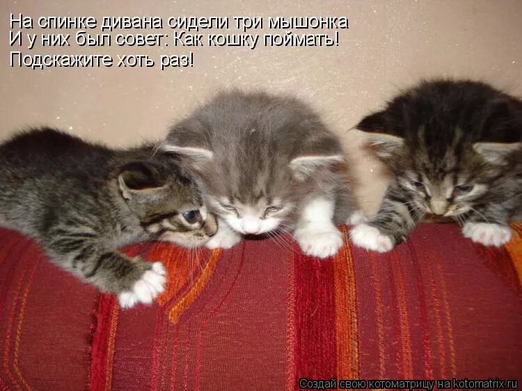 хоть ты тресни. а вы знаете стоп слово. подскажи хоть. у меня есть я цитаты. ну хоть что нибудь.