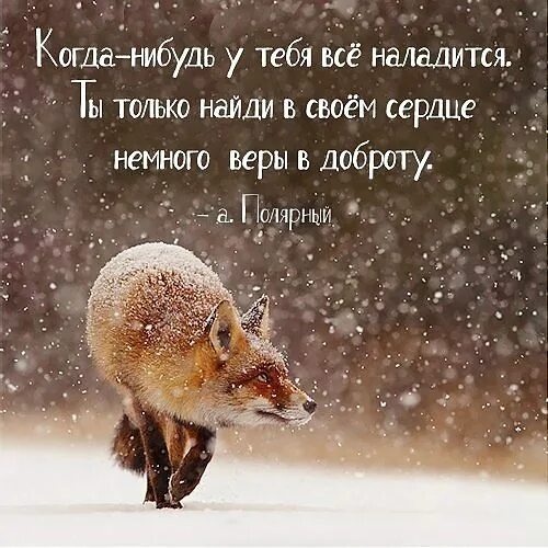 Может быть все образуется