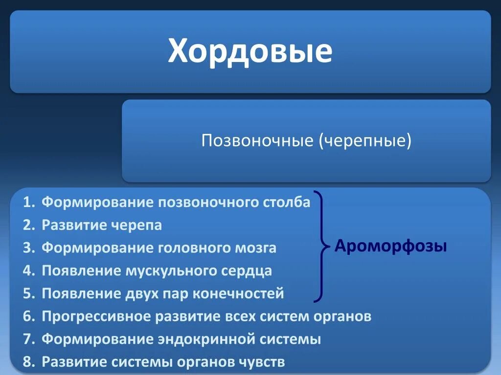PPT - Седловидная матка PowerPoint Presentation, free download - ID:6115132