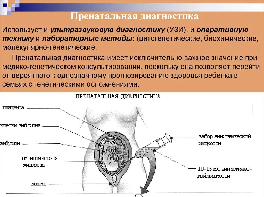 Диагностика развития плода. Пренатальная диагностика. Прентльня диагностика. Методы пренатальной диагностик. Неинвазивные методы пренатальной диагностики.