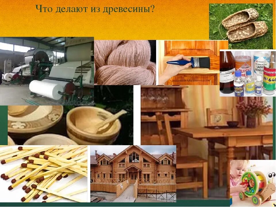 Что делают из древесины. Предметы сделанные из древесины. Из древесины изделия окружающий. Схема использования древесины. Что делают из дерева 2 класс.