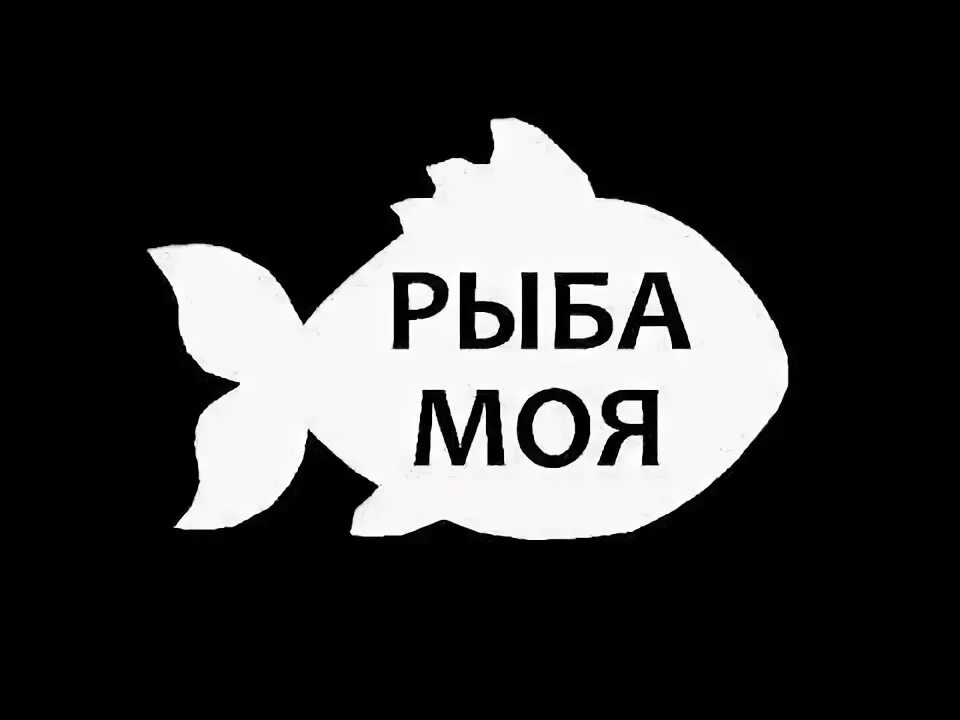 Слова песни золотая рыбка. Рыба моей мечты мем. Рыба моя слова. Язь рыба моей мечты. Золотая рыбка песня.