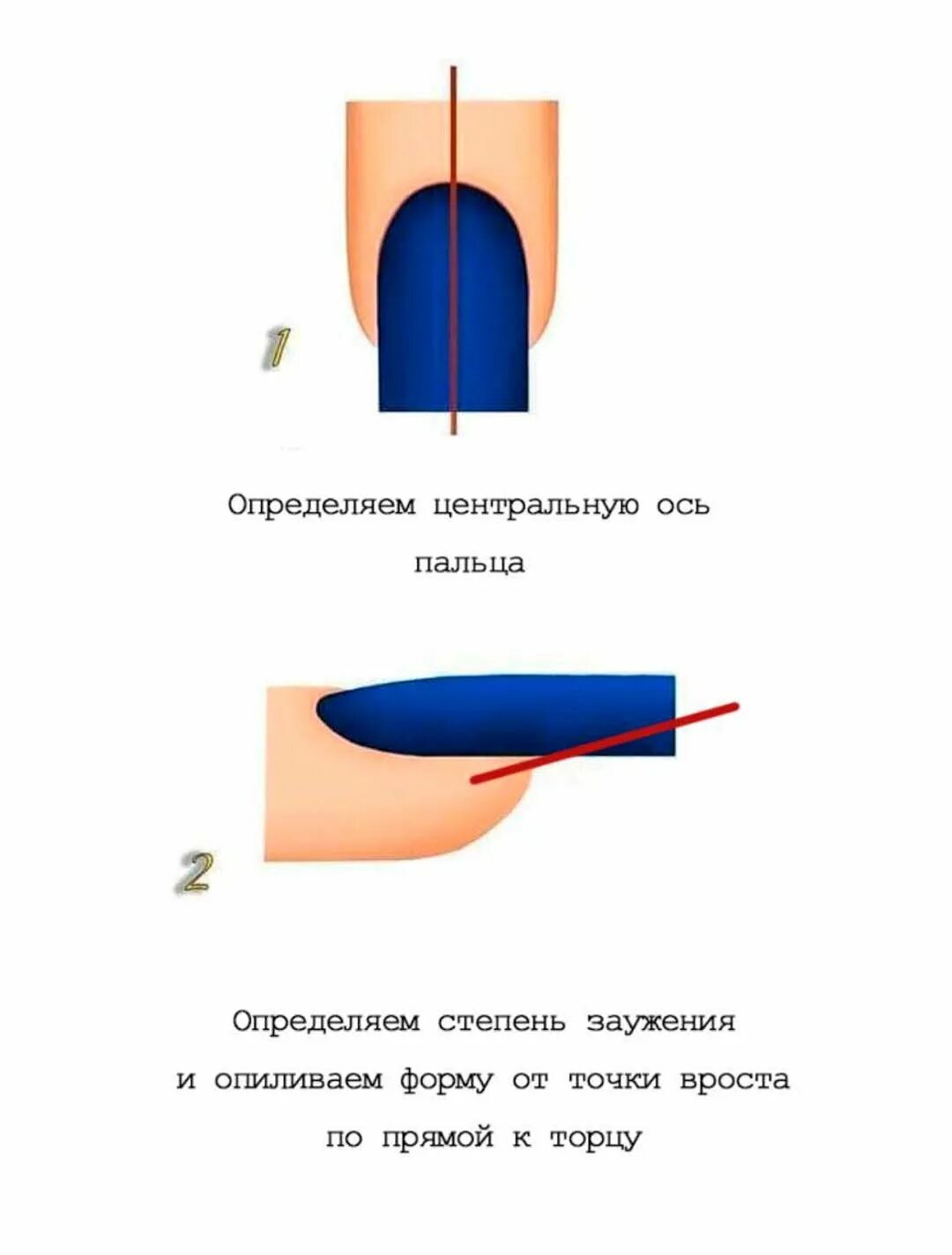 Как выпилить форму ногтей. Форма балерина для ногтей схема опила. Правильный опил формы стилет. Опил формы балерина схема опила. Схема опила миндаль.