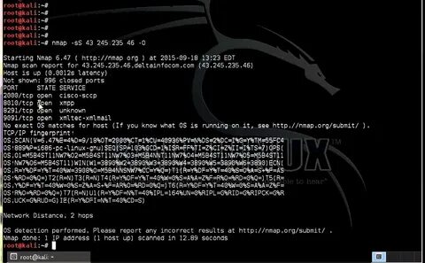 Burp kali linux