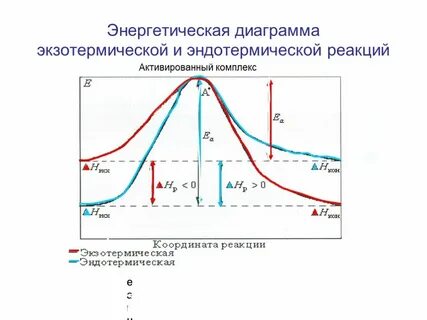Гетерогенная эндотермическая реакция