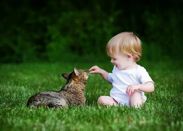 Котенок и ребенок 3 года. Котёнок-ребёнок. кошка для детей. для малышей (котенок). котик малыш.