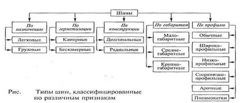 Классификация шин