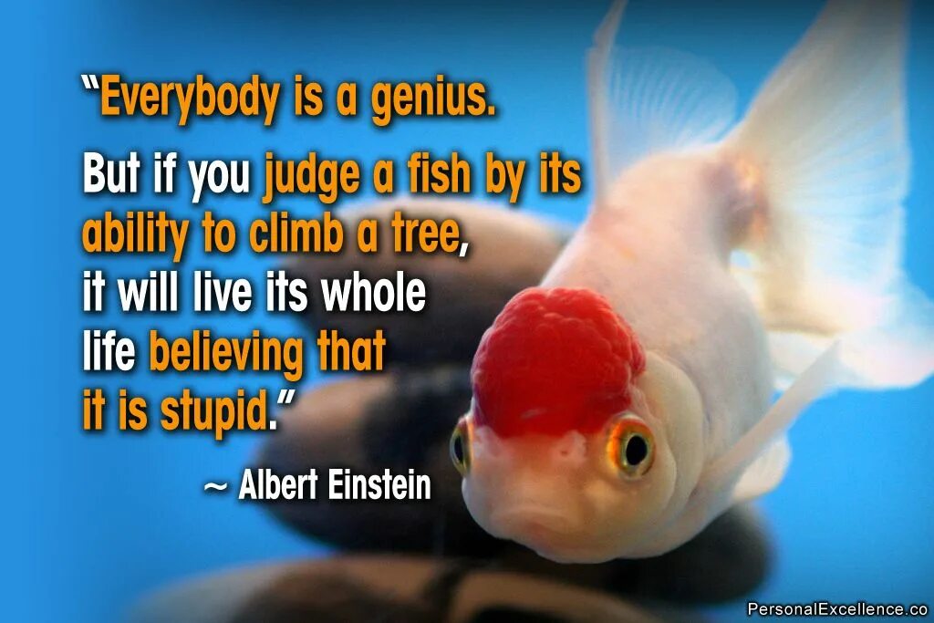 Like a fish out of. Everyone is a Genius but if you. Everybody is Genius but if you. If you judge a Fish. It is a Fish.