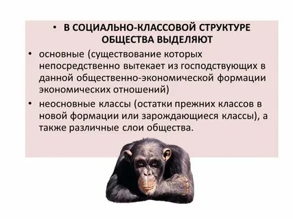 1 социально классовую структуру